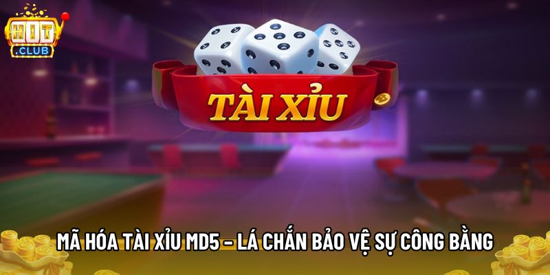 Mã hóa tài xỉu MD5 – Lá chắn bảo vệ sự công bằng